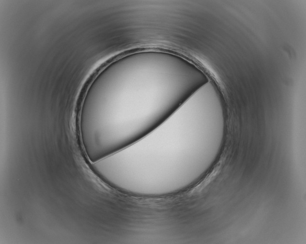 X0000111150932200906301034