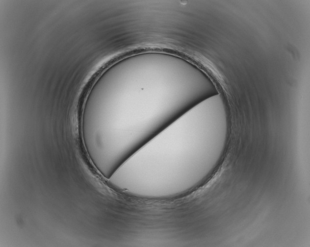 X0000111150934200906301034
