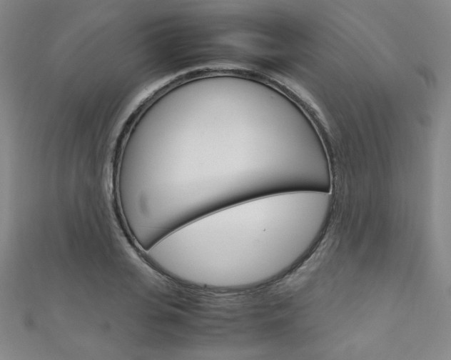 X0000111150935200906301034