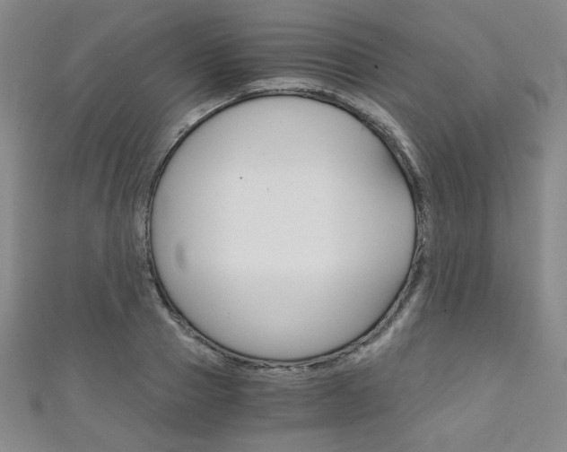 X0000111150937200906301034