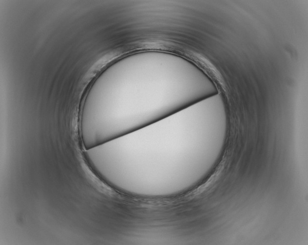 X0000111150938200906301034