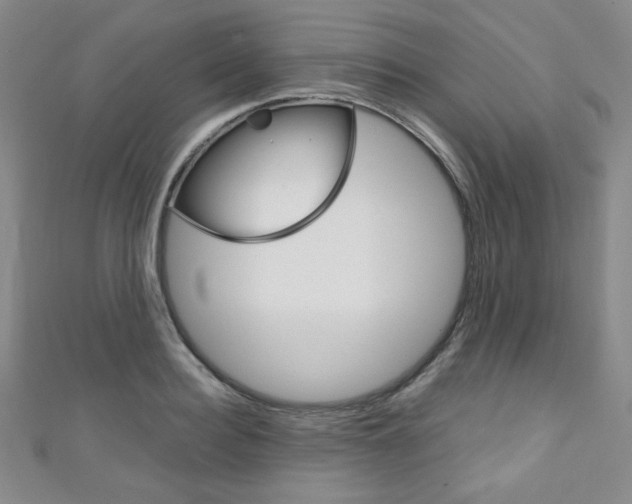 X0000111150940200906301034