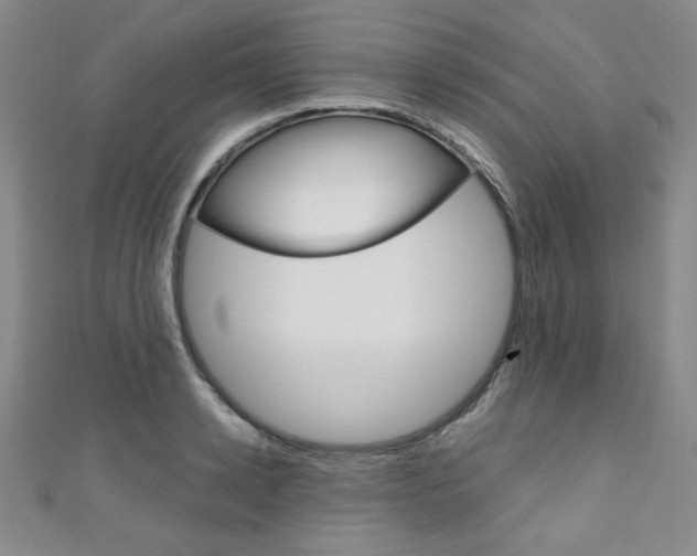 X0000111150942200906301034