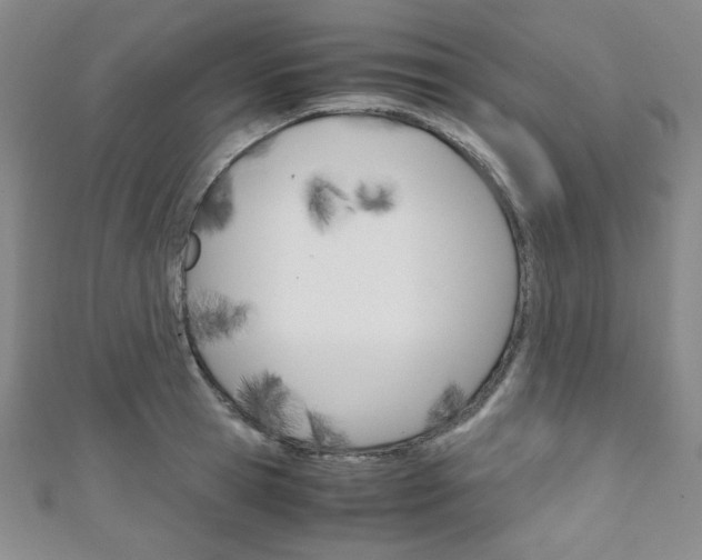 X0000111150945200906301034