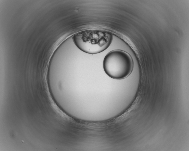 X0000111150946200906301034