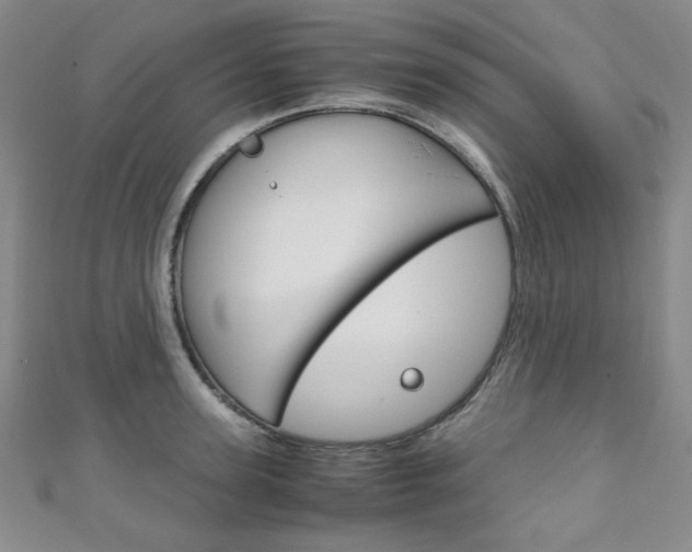 X0000111150947200906301034