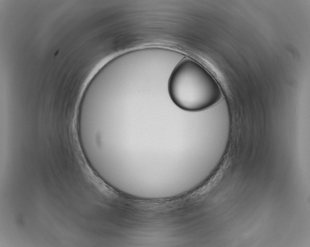 X0000111150948200906301034