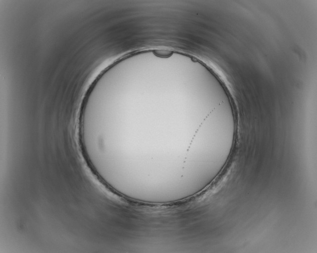 X0000111150949200906301034