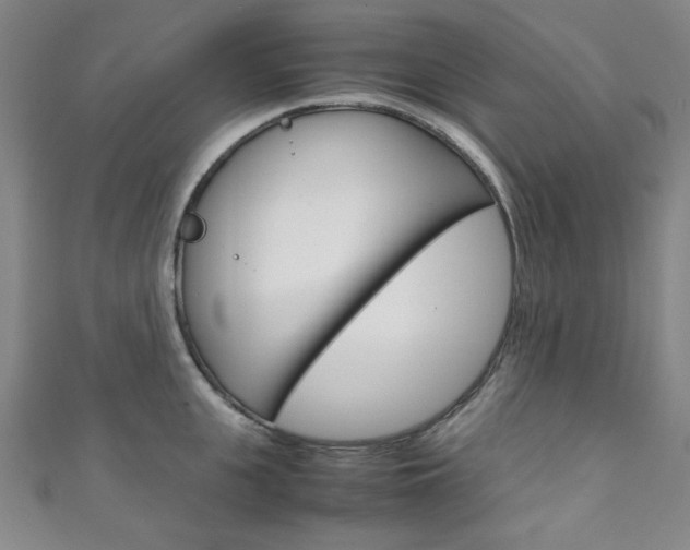 X0000111150951200906301034