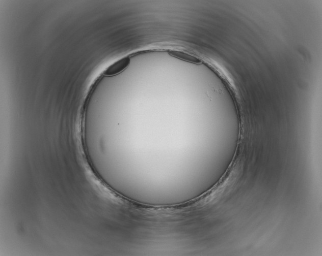 X0000111150952200906301034
