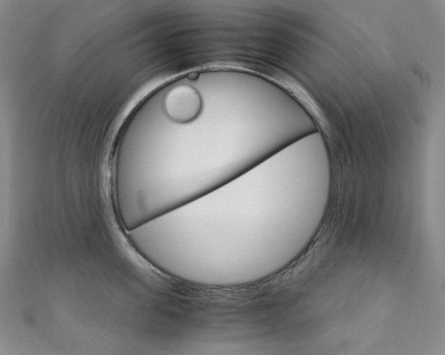 X0000111150955200906301035