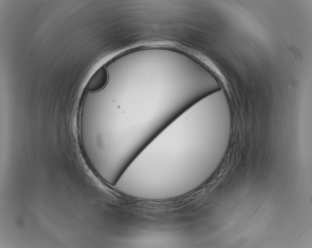 X0000111150959200906301035