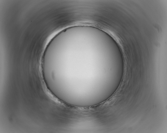 X0000111150960200906301035