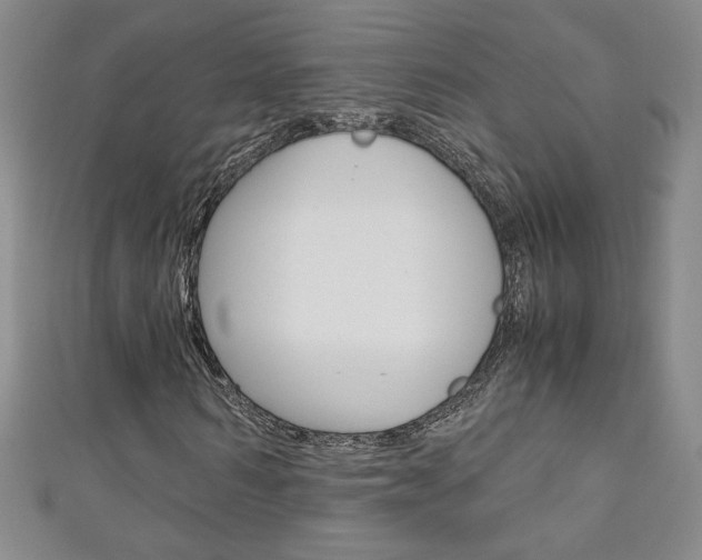 X0000111150962200906301034