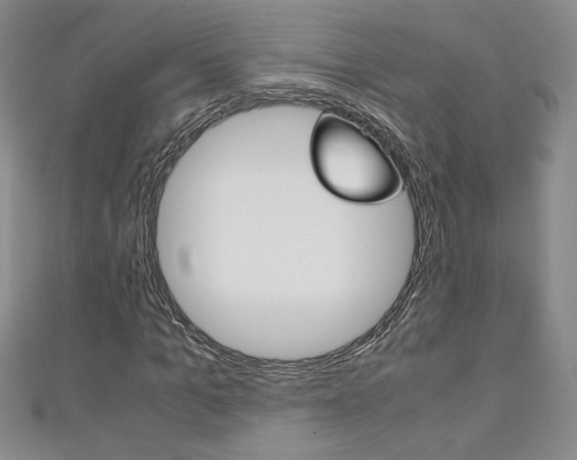 X0000111150965200906301034