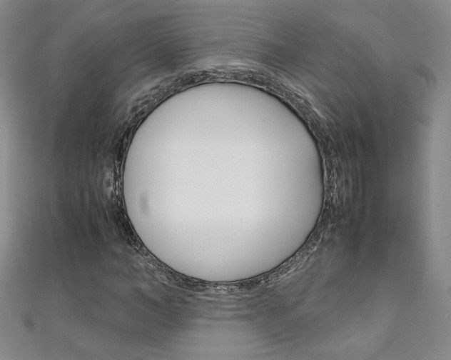X0000111150966200906301034