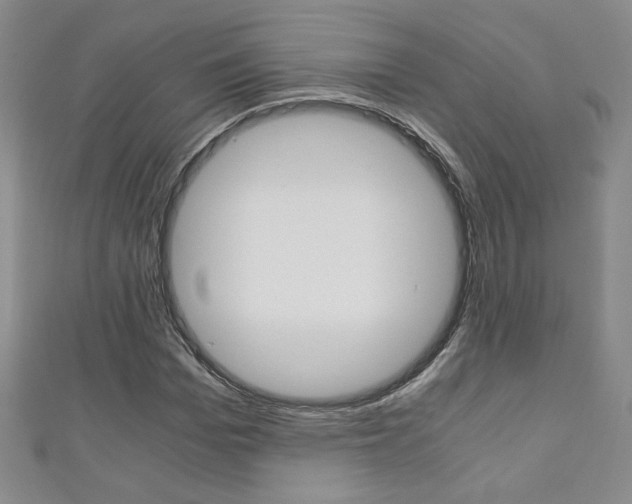 X0000111150969200906301034