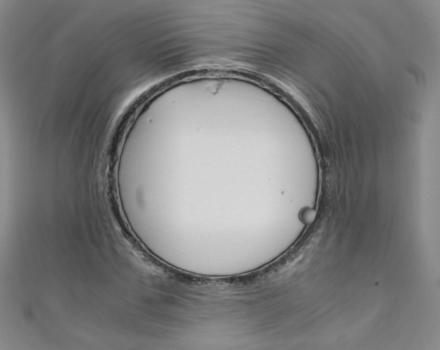 X0000111150971200906301034