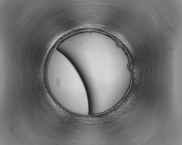 X0000111150972200906301034