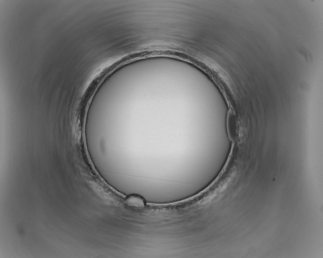 X0000111150973200906301034