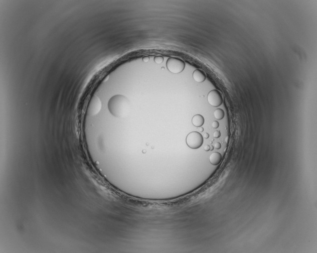X0000111150974200906301034