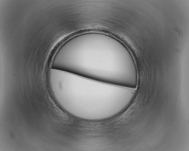 X0000111150975200906301034