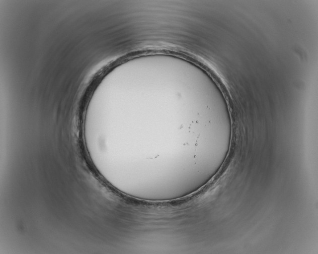 X0000111150979200906301034