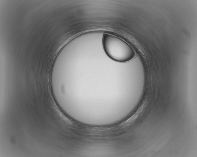 X0000111150985200906301034