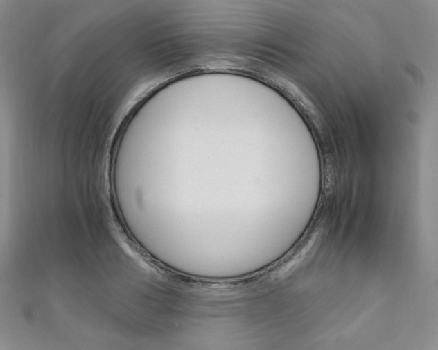 X0000111150986200906301034