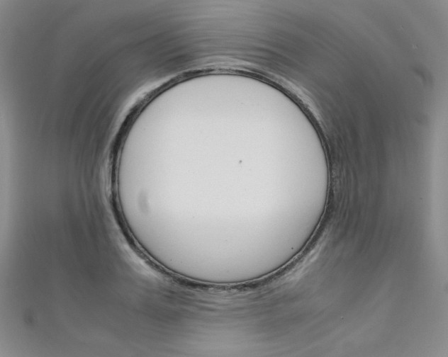 X0000111150987200906301034