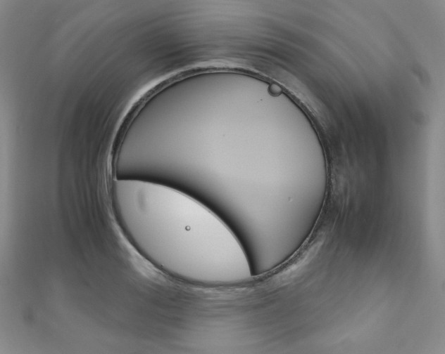 X0000111150988200906301034