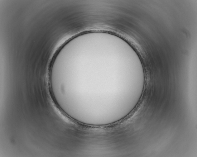 X0000111150990200906301034