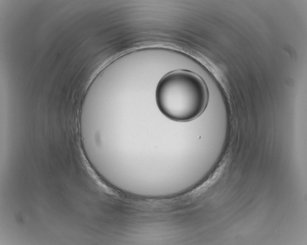 X0000111150993200906301034