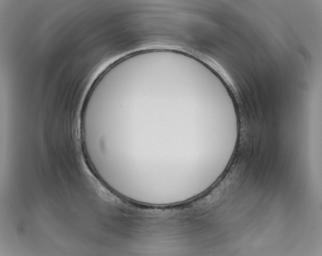 X0000111150996200906301034