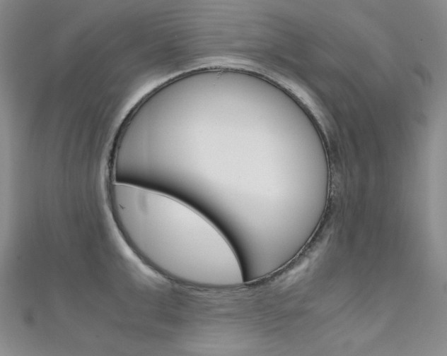 X0000111150999200906301033