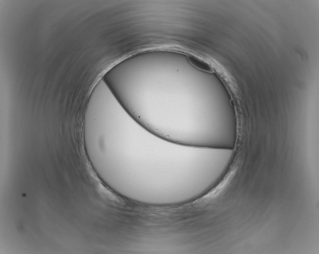 X0000111151001200906301033