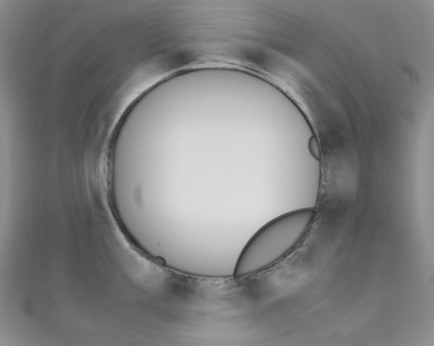 X0000111151003200906301033