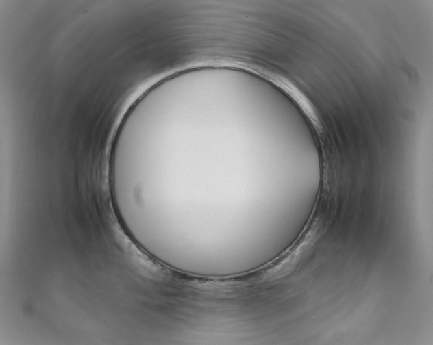 X0000111151004200906301033