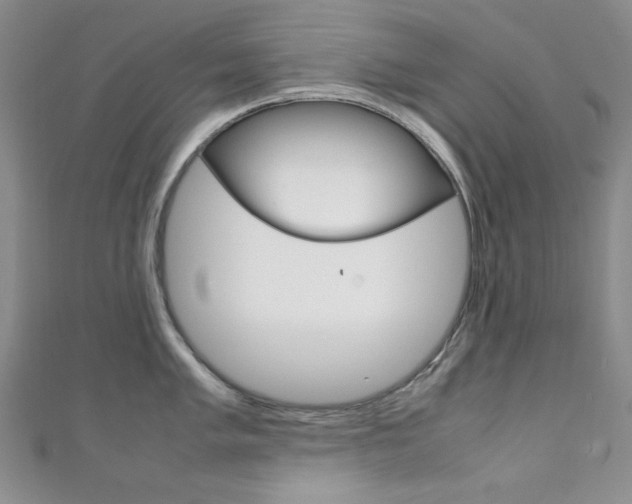 X0000111151005200906301033