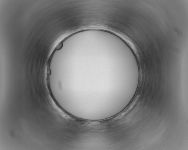 X0000111151006200906301033