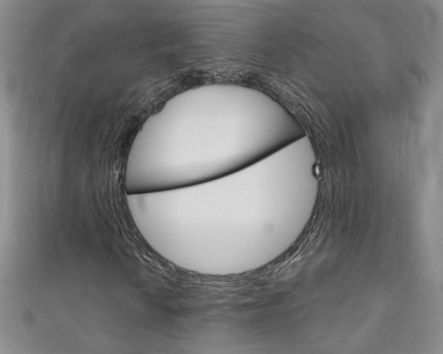 X0000111151010200906301033