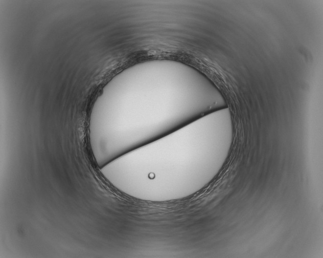 X0000111151012200906301033
