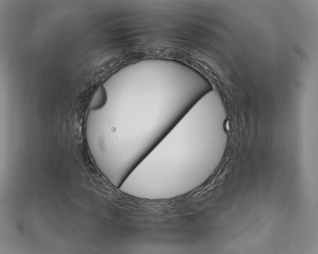 X0000111151013200906301033