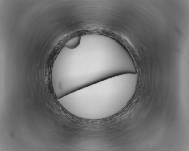 X0000111151016200906301033