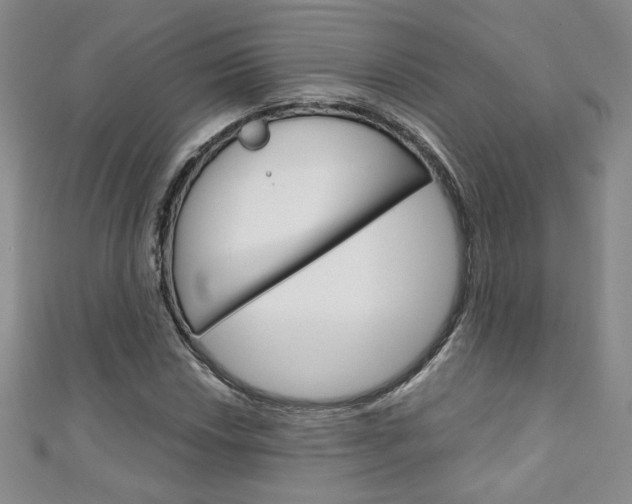 X0000111151018200906301033