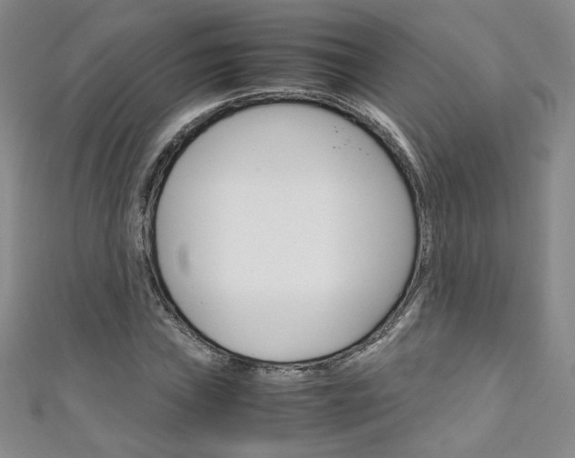 X0000111151019200906301033