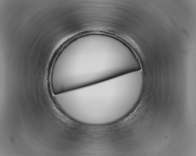 X0000111151020200906301033
