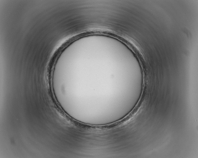 X0000111151022200906301033