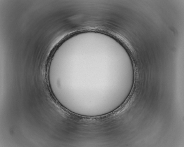 X0000111151023200906301033