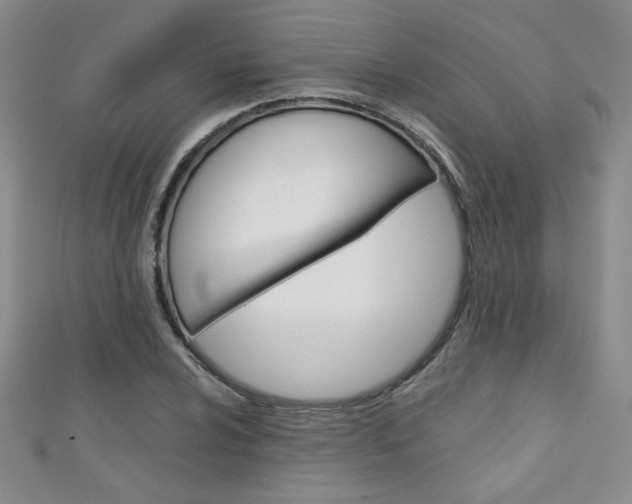 X0000111151024200906301033